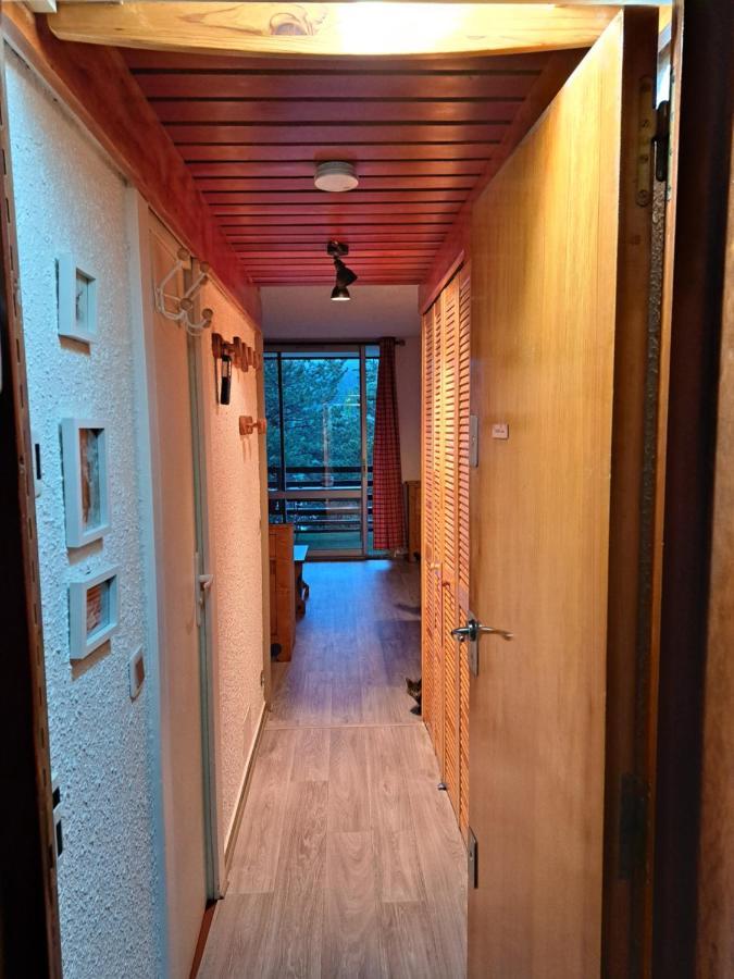 Appartement Montagnard Serre-Chevalier. Saint-Chaffrey Exterior foto